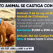 Sancionan el maltrato animal en Chihuahua