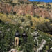 Aseguran cuatro plantíos de marihuana en el Cañón de la Sierrita