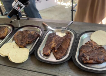 Realizarán subasta de novillo gordo en Expogan 2025