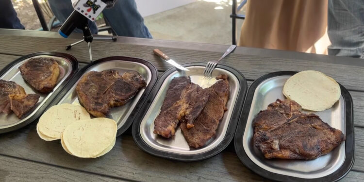 Realizarán subasta de novillo gordo en Expogan 2025