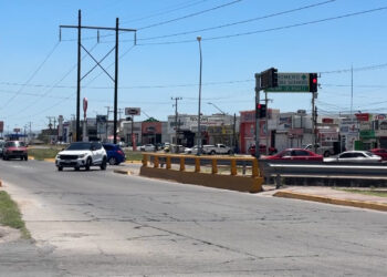 Reubican árboles por construcción de nuevo puente