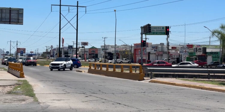 Reubican árboles por construcción de nuevo puente