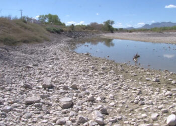 Sequía afecta al Vado de Meoqui y pone en riesgo la fauna del humedal