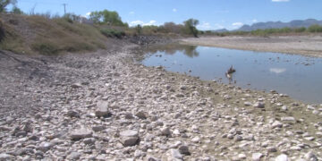 Sequía afecta al Vado de Meoqui y pone en riesgo la fauna del humedal