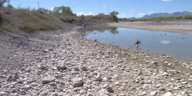 Sequía afecta al Vado de Meoqui y pone en riesgo la fauna del humedal