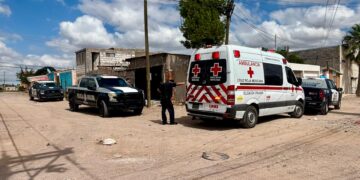 Hombre resulta herido tras riña por un gato