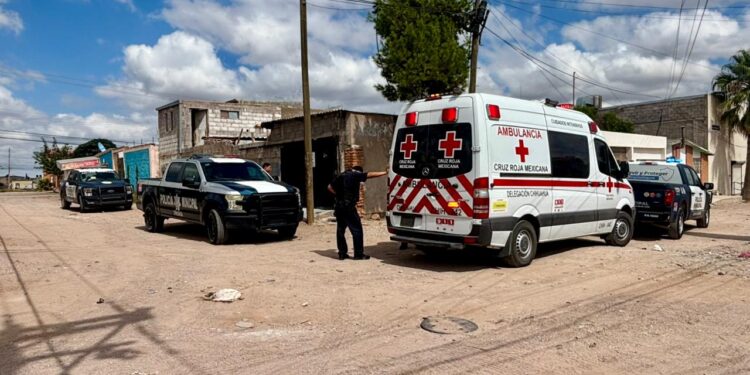 Hombre resulta herido tras riña por un gato