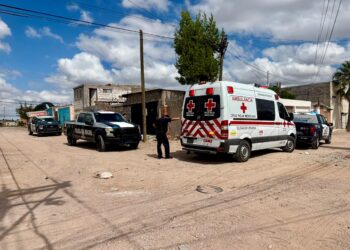 Riña por un gato termina con un hombre apuñalado en la Rodolfo Fierro