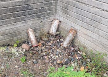 Destruyen 33 explosivos tras operativo en Moris