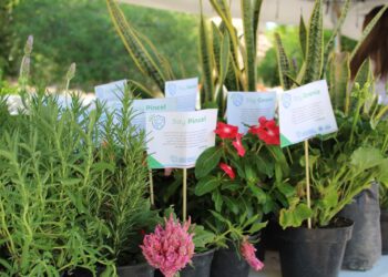 Chihuahua impulsa educación ambiental y acciones climáticas locales