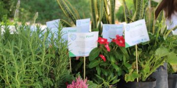 Chihuahua impulsa educación ambiental y acciones climáticas locales