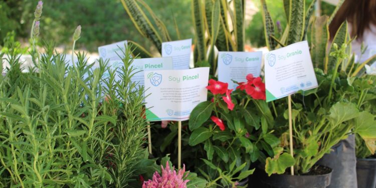 Chihuahua impulsa educación ambiental y acciones climáticas locales