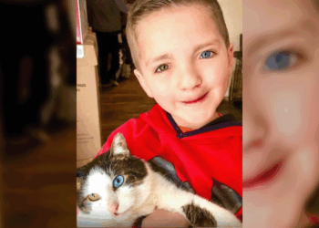 Niño adopta gato igual a él y su historia emociona