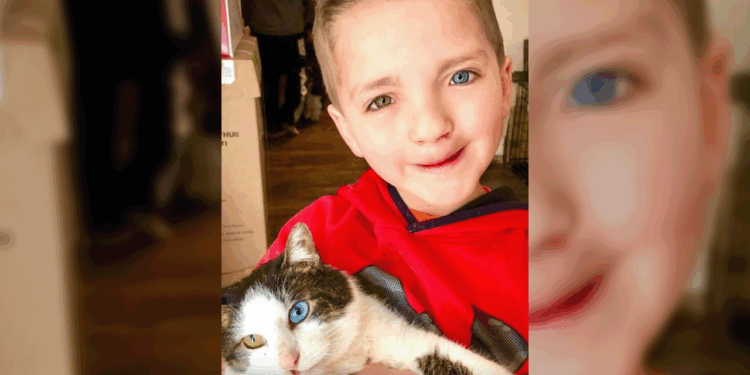 Niño adopta gato igual a él y su historia emociona
