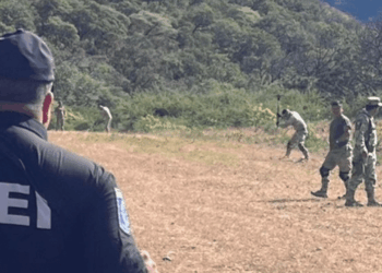 Deshabilitan pista de aterrizaje clandestina en Moris