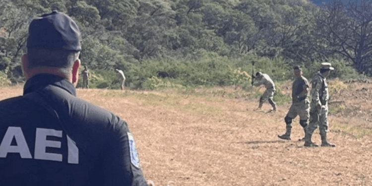 Deshabilitan pista de aterrizaje clandestina en Moris