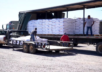 Cuauhtémoc entrega concentrado para ganado a productores