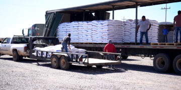 Cuauhtémoc entrega concentrado para ganado a productores