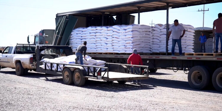 Cuauhtémoc entrega concentrado para ganado a productores