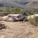 Cae avioneta en Santa Isabel; hay un muerto y un herido grave