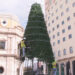Invitan al encendido del árbol navideño en Chihuahua