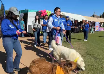Celebran tercera Feria de Mascotas en Chihuahua