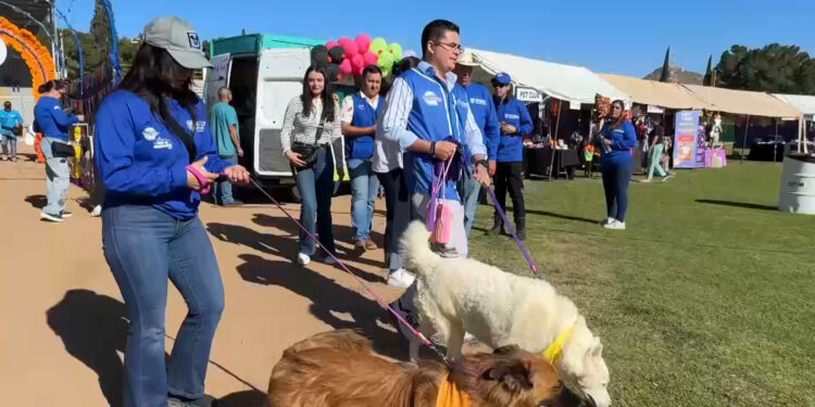 Celebran tercera Feria de Mascotas en Chihuahua
