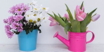 Cinco plantas de interior ideales para el invierno