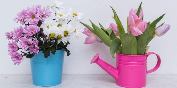 Cinco plantas de interior ideales para el invierno