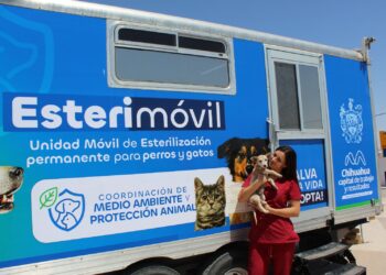 Brindarán esterilización gratuita para mascotas en colonia Nombre de Dios
