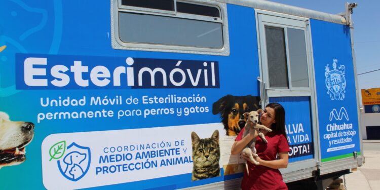 Brindarán esterilización gratuita para mascotas en colonia Nombre de Dios