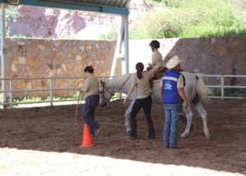 Conoce los beneficios de la Equinoterapia y la Terapia Sensorial en Chihuahua