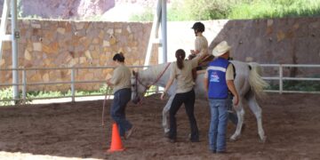 Conoce los beneficios de la Equinoterapia y la Terapia Sensorial en Chihuahua