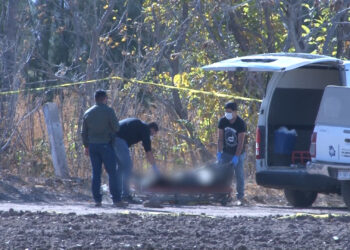 Encuentran a presunto robacarros sin vida en Meoqui