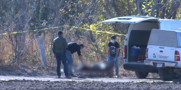 Encuentran a presunto robacarros sin vida en Meoqui