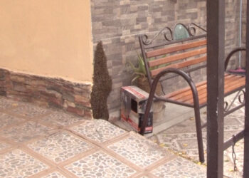 Abejas generan temor en colonia Portales