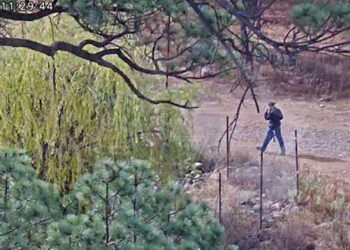 Cae sujeto armado gracias a cámaras Centinela