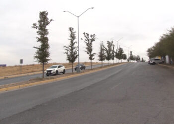 Vecinos alertan por presencia de caballos y vacas en calles de Campo Bello