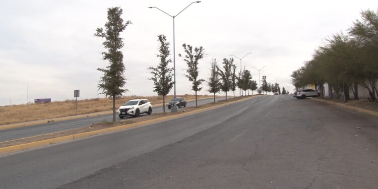 Vecinos alertan por presencia de caballos y vacas en calles de Campo Bello