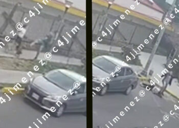 Sujeto golpea a mujer que paseaba a sus perros