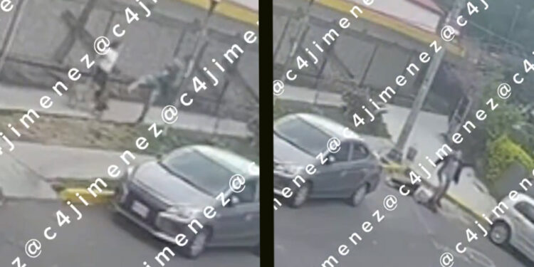 Sujeto golpea a mujer que paseaba a sus perros