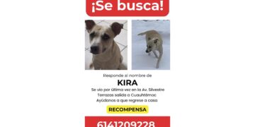 ¡AYÚDANOS A ENCONTRAR A KIRA!, escapó asustada por la pirotecnia