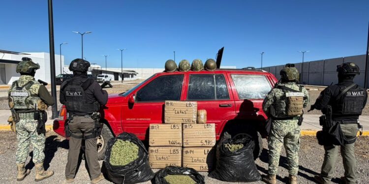 Aseguran vehículo blindado, explosivos y 90 kilos de marihuana en operativo en Madera