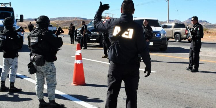 Con operativo en la Vía Corta, se han recuperado 5 vehículos con reporte de robo