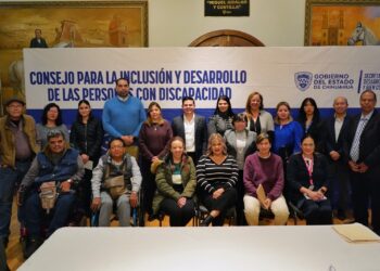 Logros del Consejo Estatal de Discapacidad en 2025