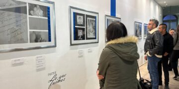 Invitan a visitar la exposición “Silvita” en el Centro de Desarrollo Cultural