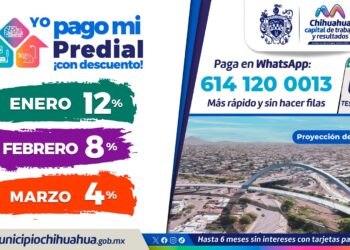 Aprovecha descuento del 12% en el Predial