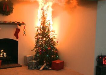 ¡Evita incendios! Recomendaciones para un árbol de Navidad seguro