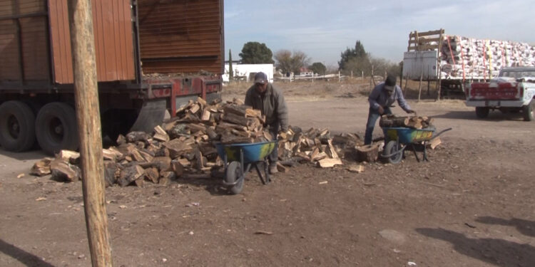 Cae venta de leña por ausencia de bajas temperaturas