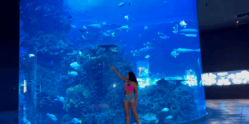 Chihuahua estrenará su primer acuario en 2026